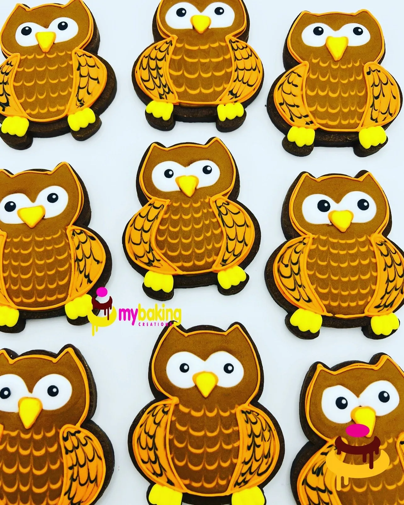 Custom hand-piped owl cookies San Francisco Bay Area